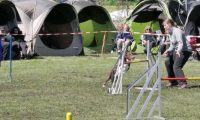 Agi_haag_30-04-2017865