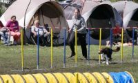 Agi_haag_30-04-2017869
