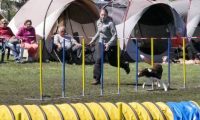 Agi_haag_30-04-2017870