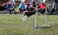 Agi_haag_30-04-2017873
