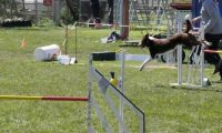 Agi_haag_30-04-2017878