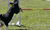 Agi_haag_30-04-2017884