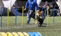 Agi_haag_30-04-2017887