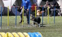 Agi_haag_30-04-2017888