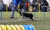 Agi_haag_30-04-2017889