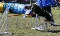 Agi_haag_30-04-2017892