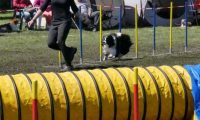 Agi_haag_30-04-2017896