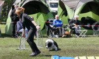 Agi_haag_30-04-2017897