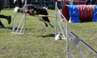 Agi_haag_30-04-2017900