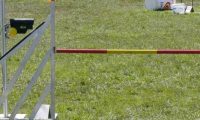 Agi_haag_30-04-2017905