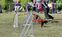 Agi_haag_30-04-2017908