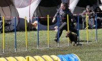 Agi_haag_30-04-2017909
