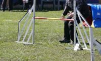 Agi_haag_30-04-2017913