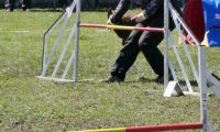 Agi_haag_30-04-2017914