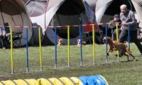 Agi_haag_30-04-2017920