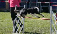 Agi_haag_30-04-2017932
