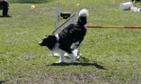 Agi_haag_30-04-2017951