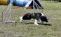 Agi_haag_30-04-2017956