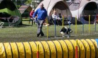 Agi_haag_30-04-2017957