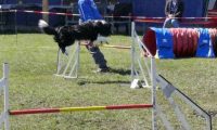 Agi_haag_30-04-2017960