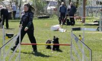 Agi_haag_30-04-2017974