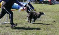 Agi_haag_30-04-2017990