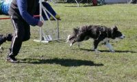 Agi_haag_30-04-2017991