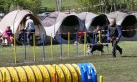 Agi_haag_30-04-2017992