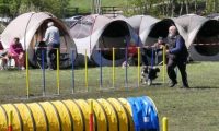 Agi_haag_30-04-2017993