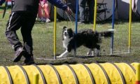 Agi_haag_30-04-2017994