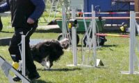 Agi_haag_30-04-2017996