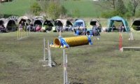 Agi_haag_30-04-2017999