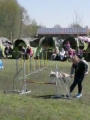 Agi_haag_30-04-2017001 Agi_haag_30-04-2017001