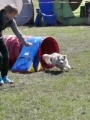 Agi_haag_30-04-2017016 Agi_haag_30-04-2017016