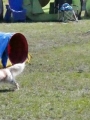 Agi_haag_30-04-2017020 Agi_haag_30-04-2017020