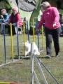 Agi_haag_30-04-2017041 Agi_haag_30-04-2017041