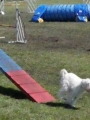 Agi_haag_30-04-2017049