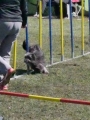 Agi_haag_30-04-2017104 Agi_haag_30-04-2017104