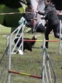Agi_haag_30-04-2017133