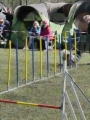 Agi_haag_30-04-2017161 Agi_haag_30-04-2017161
