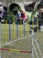 Agi_haag_30-04-2017162 Agi_haag_30-04-2017162