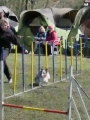 Agi_haag_30-04-2017164 Agi_haag_30-04-2017164