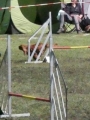 Agi_haag_30-04-2017189 Agi_haag_30-04-2017189