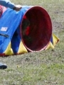 Agi_haag_30-04-2017194 Agi_haag_30-04-2017194