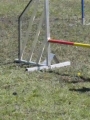 Agi_haag_30-04-2017224 Agi_haag_30-04-2017224