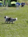 Agi_haag_30-04-2017271 Agi_haag_30-04-2017271