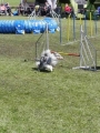 Agi_haag_30-04-2017275 Agi_haag_30-04-2017275