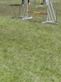Agi_haag_30-04-2017277 Agi_haag_30-04-2017277