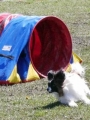 Agi_haag_30-04-2017298 Agi_haag_30-04-2017298