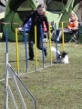 Agi_haag_30-04-2017300 Agi_haag_30-04-2017300